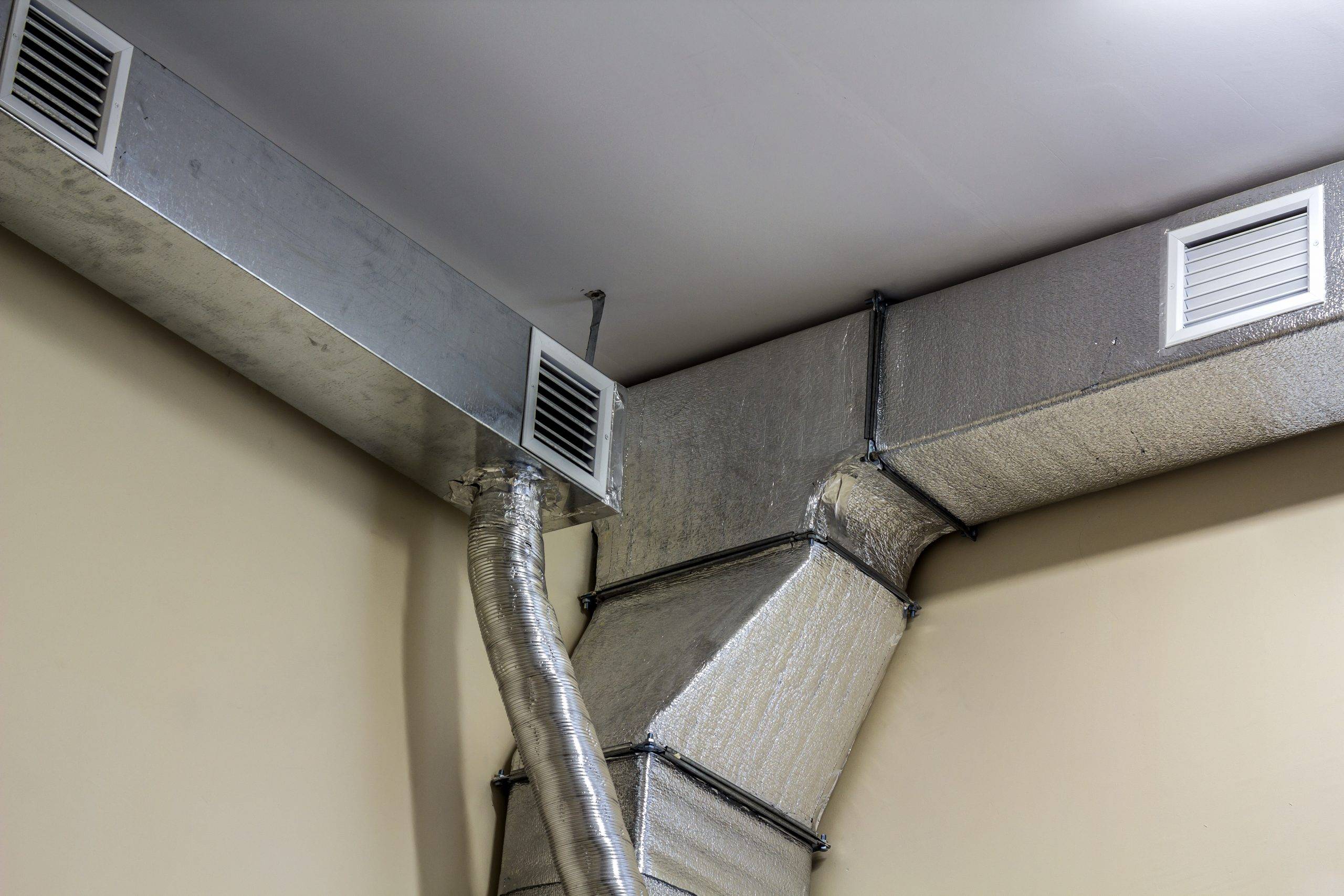 subfloor ventilation - King's Lynn - 4 subfloor ventilation - King's Lynn - 4